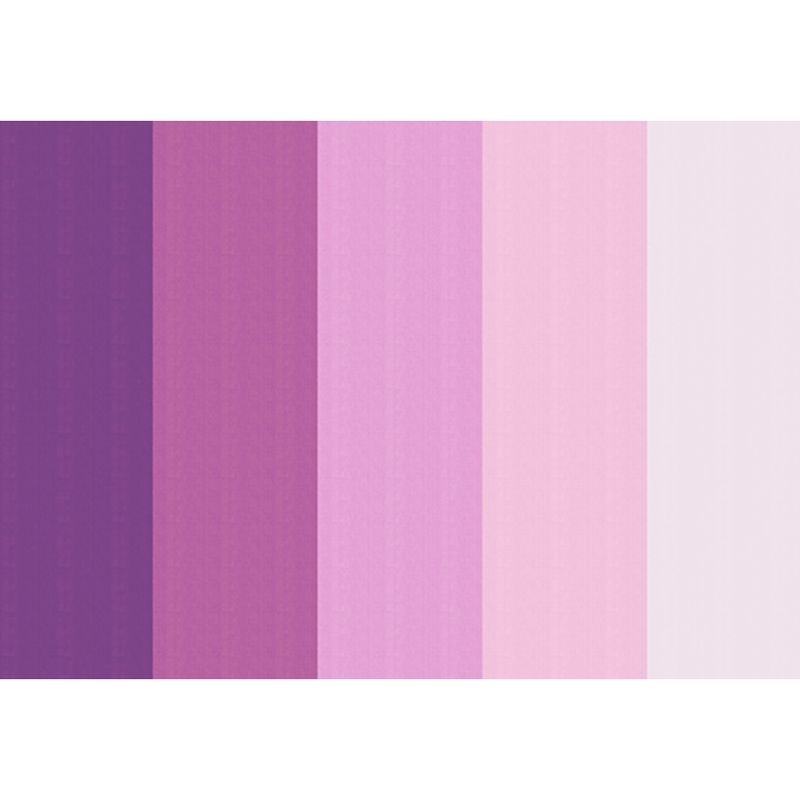 054486_000000_1