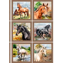Tecido Tricoline Horses : Almofadas de Cavalo (0,90x1,40)