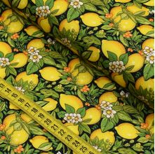 Tecido Estampado Para Patchwork - Frutas : Limão (0,50x1,40)