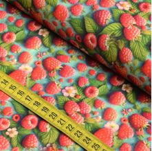 Tecido Estampado para Patchwork - Salada de Frutas : Framboesa (0,50x1,50)