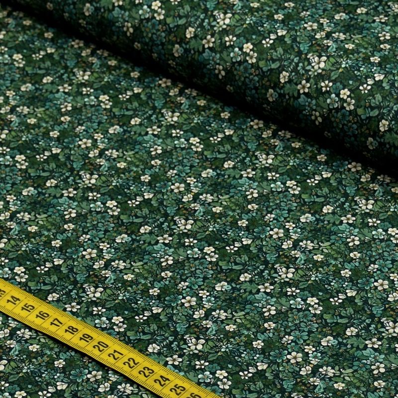056675_000000_1.jpg