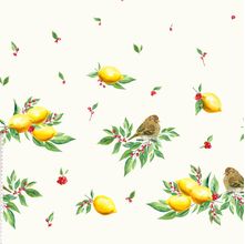 Tecido de Sarja - Floratta: Barrado de Pássaro com Limão (0,50x1,50)