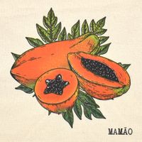 Pano de Prato Rústico Coleção Frutas Estilotex - 45 X 72cm Mamão