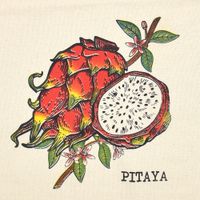 Pano de Prato Rústico Coleção Frutas Estilotex - 45 X 72cm Pitaya