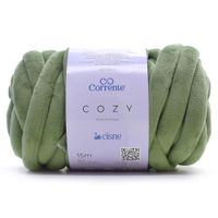 Fio Cisne Cozy 300g 0322 - verde