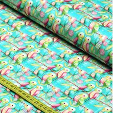 Tecido Estampado Para Patchwork - Tropi : Periquitos (0,50x1,50)