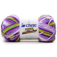 Fio Cisne Rendidora Multicolor 100g 00217