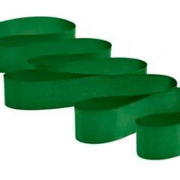 Fita de Cetim Nº 09 38mm com 50 Metros - Fitas Progresso 217 - verde bandeira