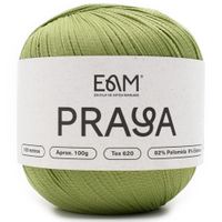 Linha Praya 100g - Fio com Elasticidade Kiwi