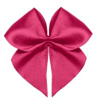 Lacinho Cetim Progresso 38mm L009-038 - 6 Unidades 303 - pink